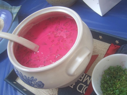 Saltibarscial Cold Beet Soup (Image by Peter Engler)