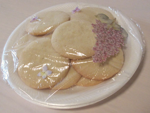 Sugar cookie image by Catherine Lambrecht